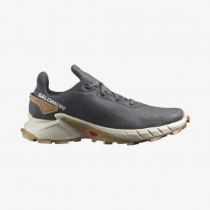 Salomon Alphacross 4 1 Ebony/Rainy Day/PHANTOM | 8523049-GR