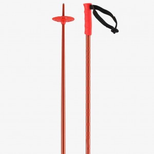 Salomon Hacker Ski Poles Black | 3187654-LF