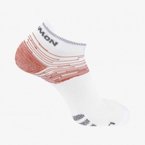 Salomon Predict Low ORANGE OCHRE/WHITE/EBONY | 2491378-ZT