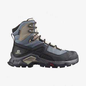 Salomon Quest Element Gtx W Ebony/Rainy Day/Stormy Weather | 6489102-LS