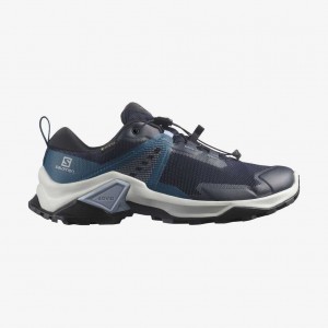 Salomon X Raise 2 Gtx Night Sky/Legion Blue/Zen Blue | 4237810-DJ