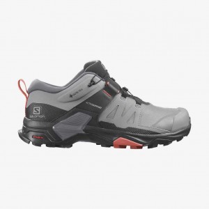 Salomon X Ultra 4 Gtx 1 Alloy/Quiet Shade/Burnt Sienna | 0492851-IC