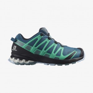 Salomon Xa Pro 3d V8 Gore Tex Shoe Legion Blue/Trooper/Mint Leaf | 9130457-CD