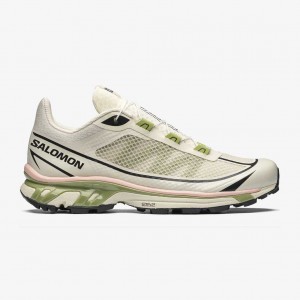 Salomon Xt 6 Ft 4 Rainy Day/Epsom/Peach Beige | 3782640-ZC